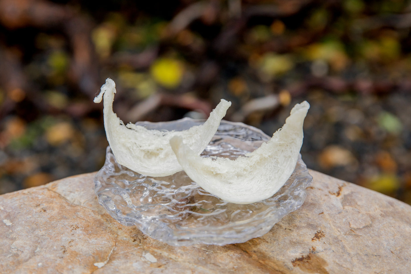 补气血燕窝羹(经期喝)Replenishing Bird's Nest Soup (For Menstrual Wellness)